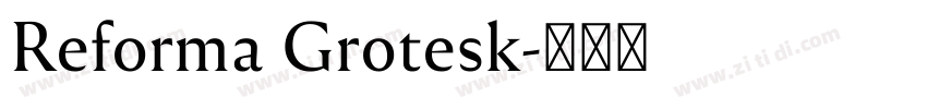 Reforma Grotesk字体转换